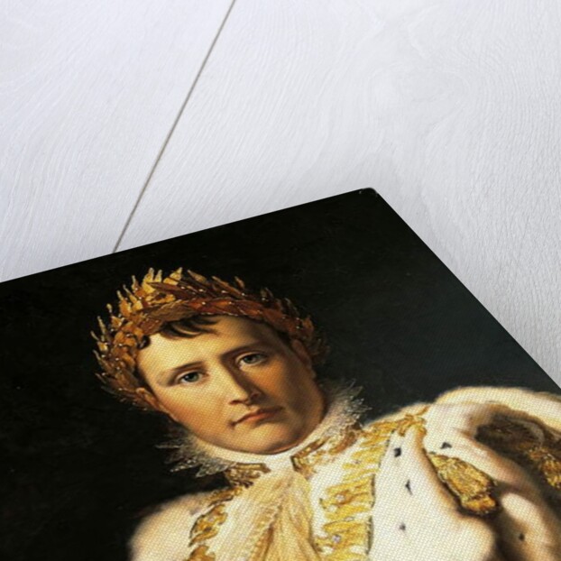 Napoleon Bonaparte in Emperor's robes, by Francois Baron Gerard ca 1805 by Francois Pascal Simon Baron Gerard