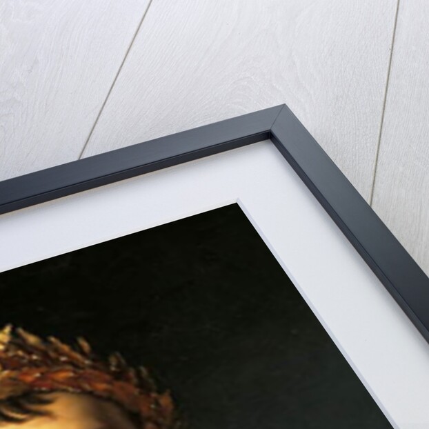 Napoleon Bonaparte in Emperor's robes, by Francois Baron Gerard ca 1805 by Francois Pascal Simon Baron Gerard