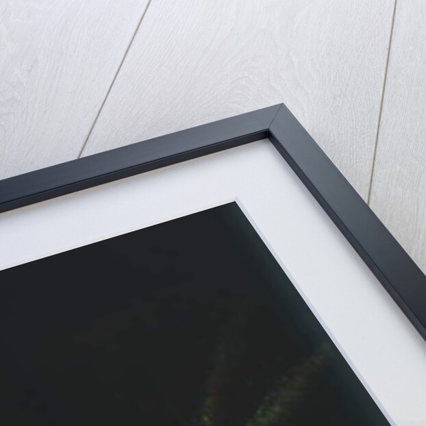 Still life with flowers and fruit, by Master of the Hartford Still Life, c.1600-10 by Michelangelo Merisi da Caravaggio