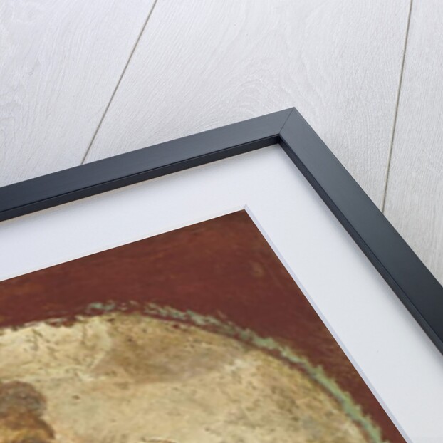 Portrait of a young man holding a papyrus scroll, 55-79 AD by Roman