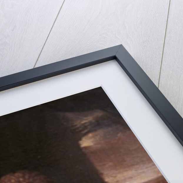 Antonie van Leeuwenhoek, c.1680 by Jan Verkolje