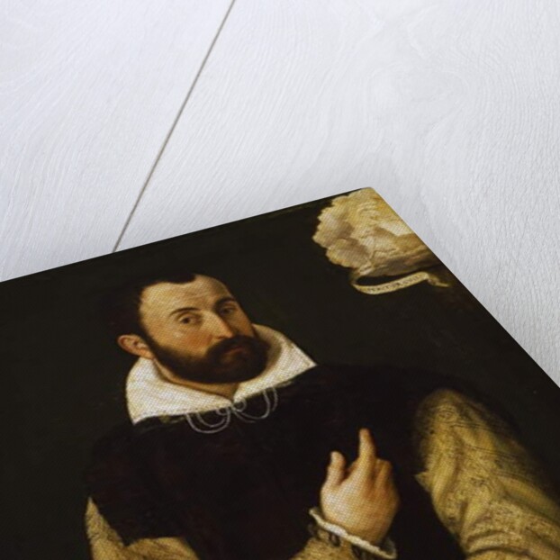 Portrait of Girolamo Rossi by Luca Longhi