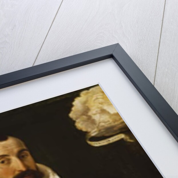 Portrait of Girolamo Rossi by Luca Longhi