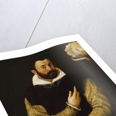 Portrait of Girolamo Rossi by Luca Longhi