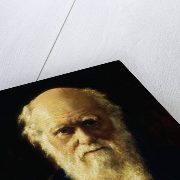 Portrait of Charles Darwin, 1883 by John Collier