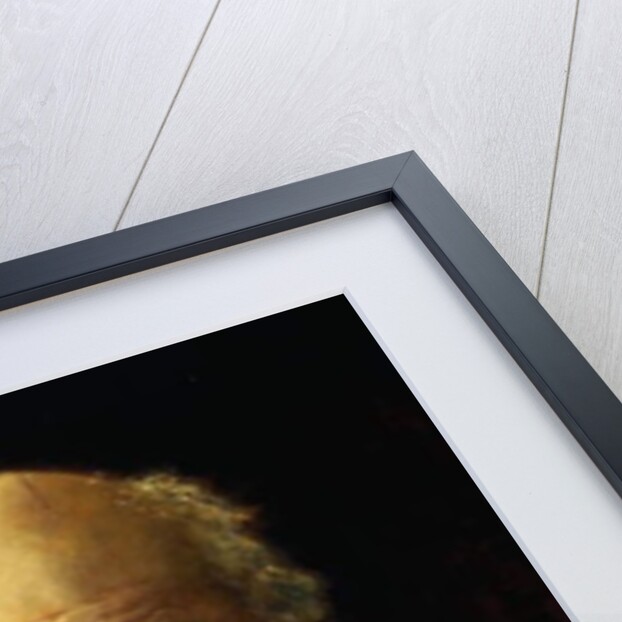 Portrait of Charles Darwin, 1883 by John Collier