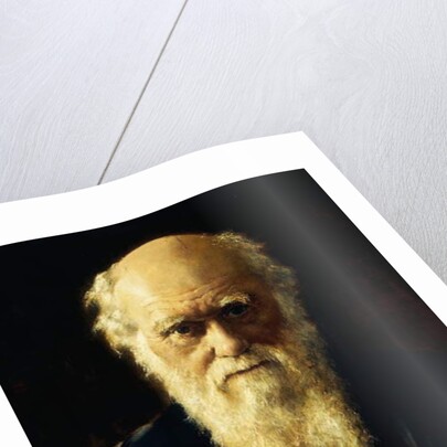 Portrait of Charles Darwin, 1883 by John Collier