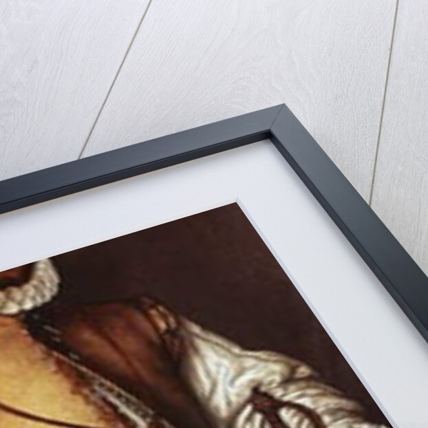 Portrait of Martin Frobisher, c.1577 by Cornelis Ketel