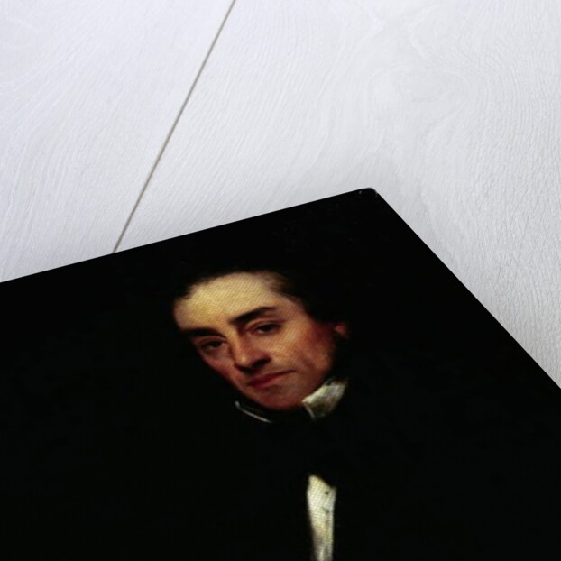 Portrait of Francis Pettit Smith, 1856 by William Boxall