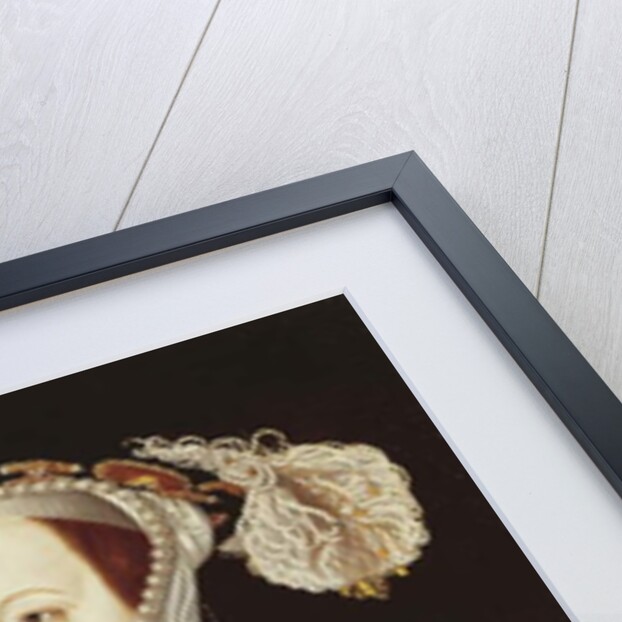 Portrait of Katherine Parr, c.1545 by English School