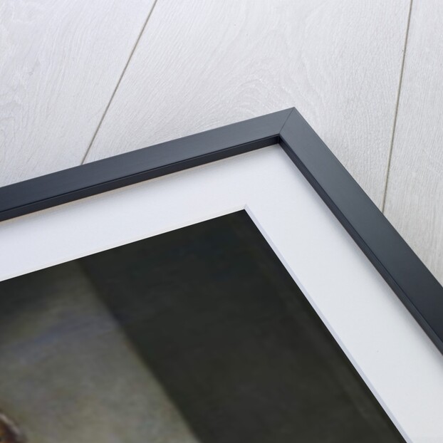 Portrait of Charles III of Bourbon kign of spain by Andres de la Calleja