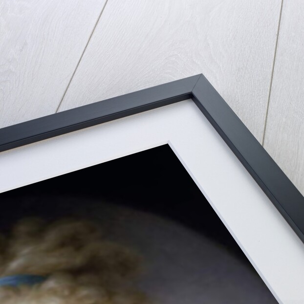 Portrait of Archduchess Maria Clementina of Austria by Elisabeth Louise Vigee-Lebrun