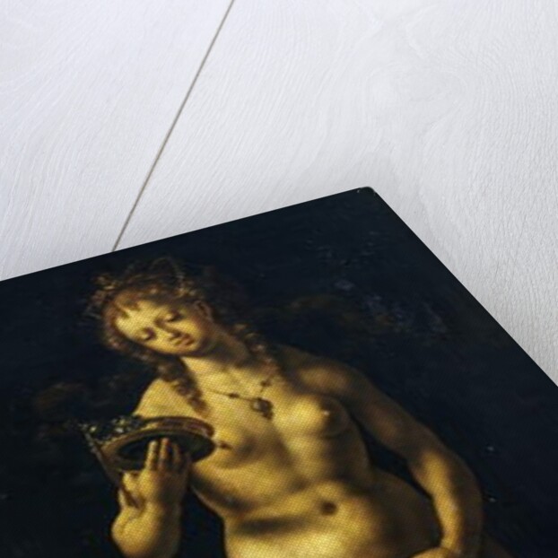 Venus by Jan Gossaert
