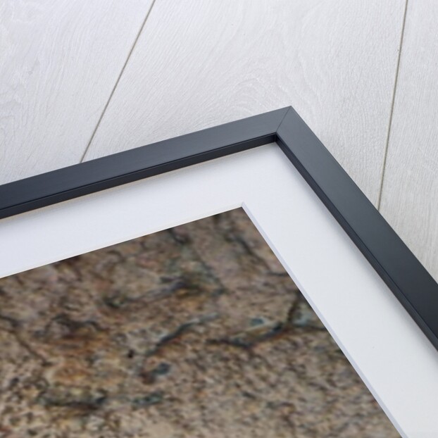 Human figures by Prehistoric Prehistoric