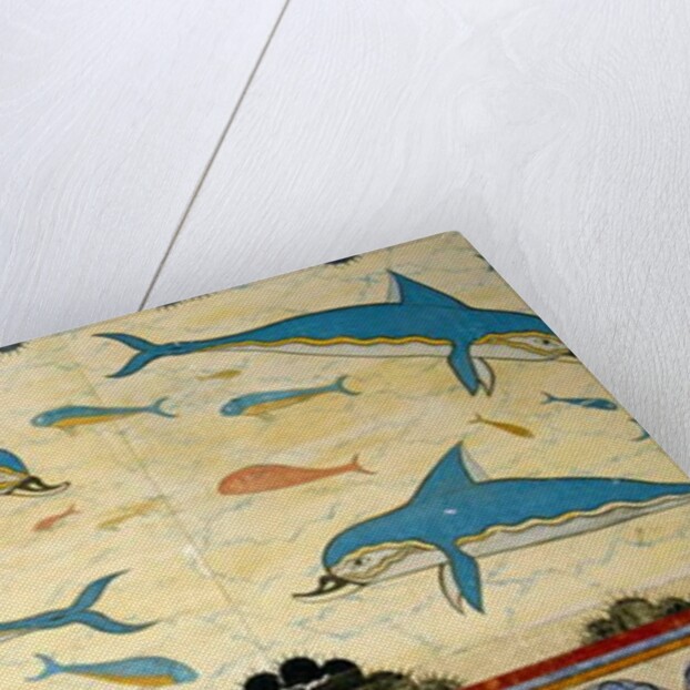 The Dolphin Fresco in the Queen's Bathroom, Knossos, Crete 1550-1450 BC by Minoan Minoan