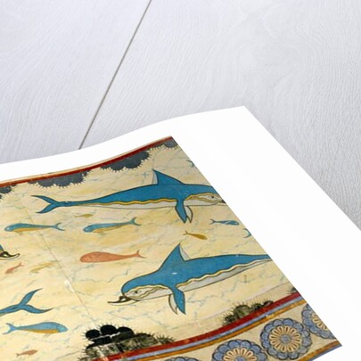 The Dolphin Fresco in the Queen's Bathroom, Knossos, Crete 1550-1450 BC by Minoan Minoan