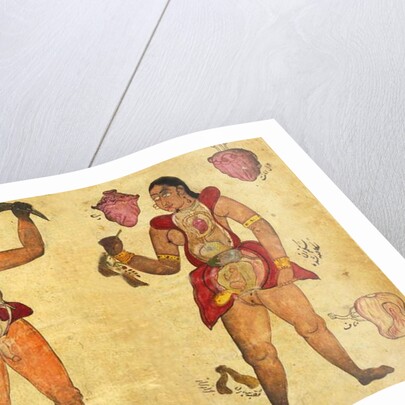 Anatomical illustration of a man and a Woman holding their own internal organs by Persian School