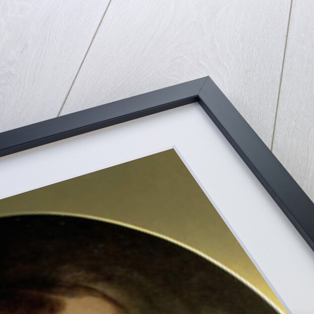 Portrait of Mamie Dickens by John Everett Millais