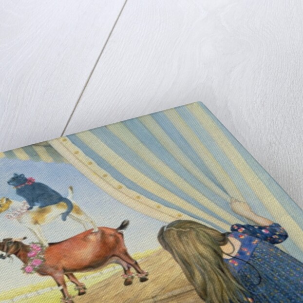 Private View by Ditz Ditz