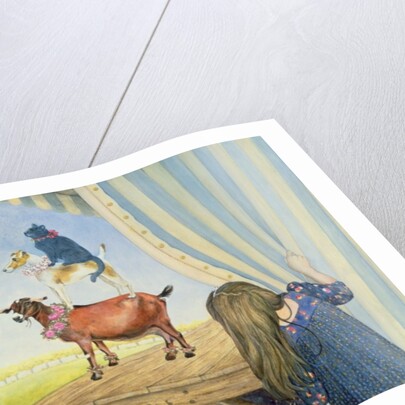 Private View by Ditz Ditz