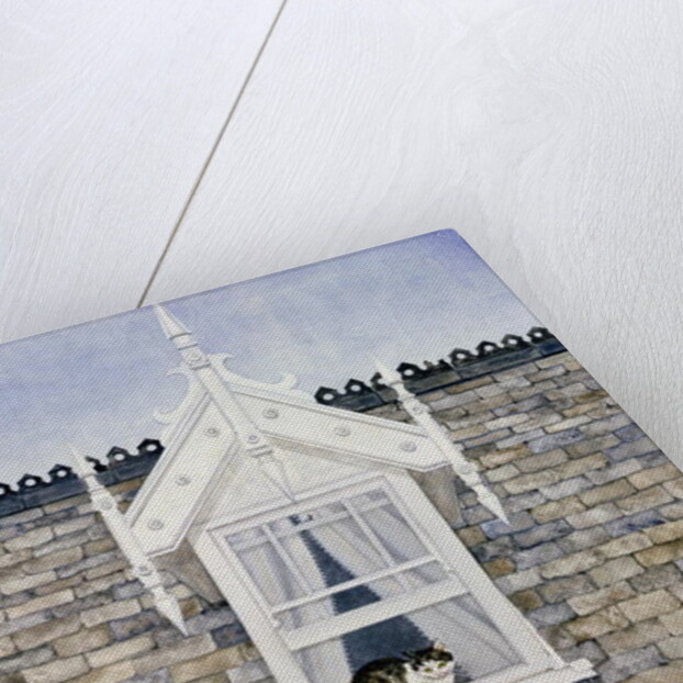 St.Helier Dormer Cat by Ditz Ditz