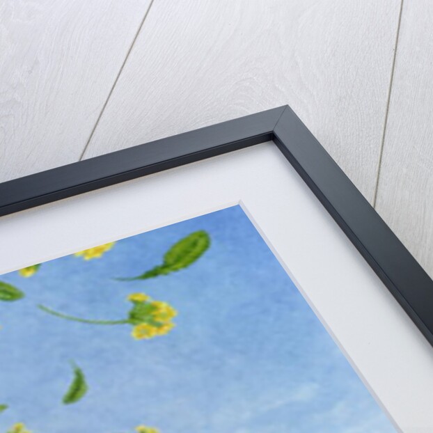 Clara, after D.H.Lawrence's 'Sons and Lovers' by Ditz Ditz