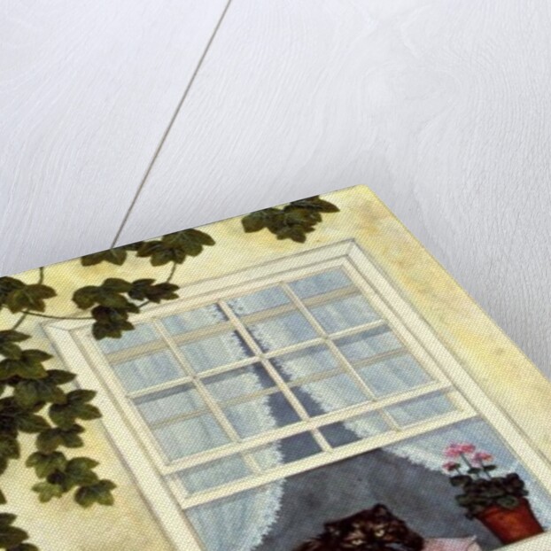 Pam's Cat by Ditz Ditz