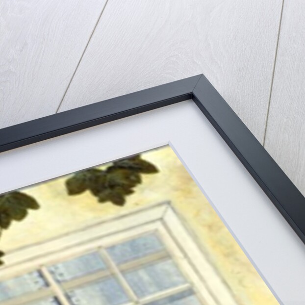 Pam's Cat by Ditz Ditz