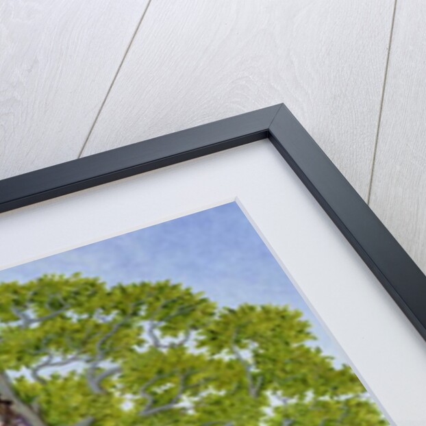 The Tree by Ditz Ditz