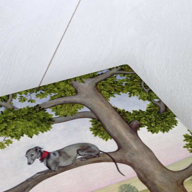 The Tree Whippet by Ditz Ditz