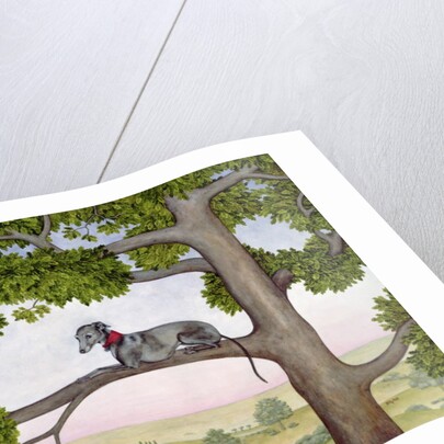 The Tree Whippet by Ditz Ditz