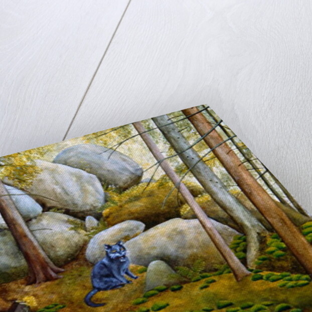 In the Wood by Ditz Ditz