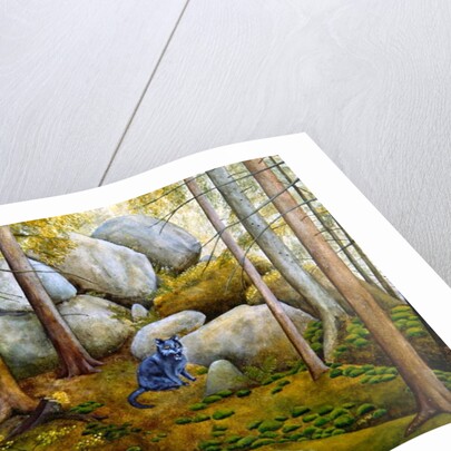 In the Wood by Ditz Ditz