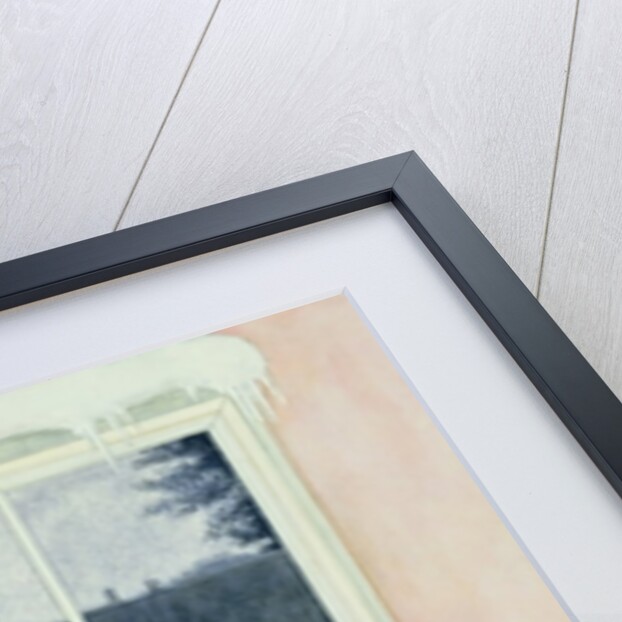 The Christmas Goose by Ditz Ditz