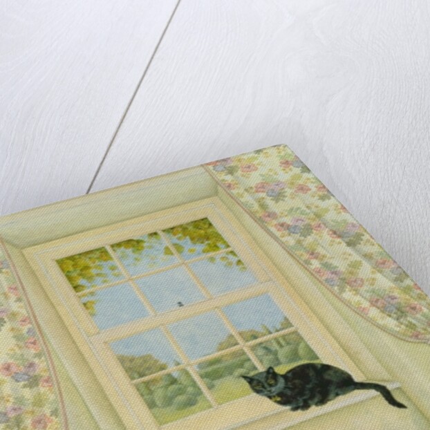 The Window Cat by Ditz Ditz