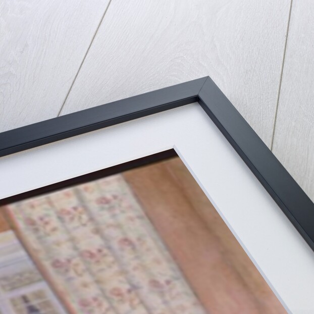 Opposite Windows by Ditz Ditz