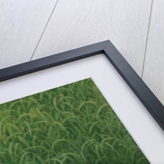 The Apple Basket by Ditz Ditz