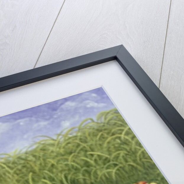 Apple-sows by Ditz Ditz