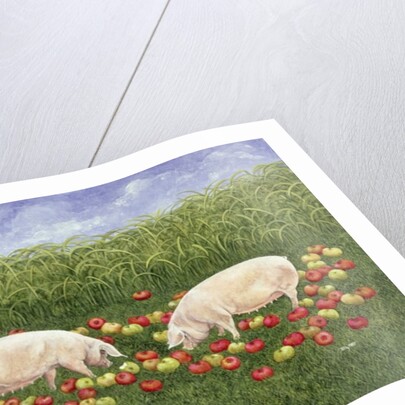 Apple-sows by Ditz Ditz