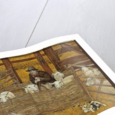 Barn-sheep by Ditz Ditz