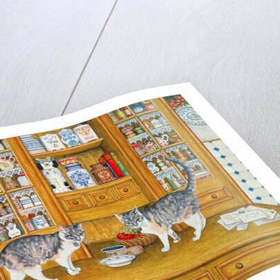 Dresser Cats by Ditz Ditz