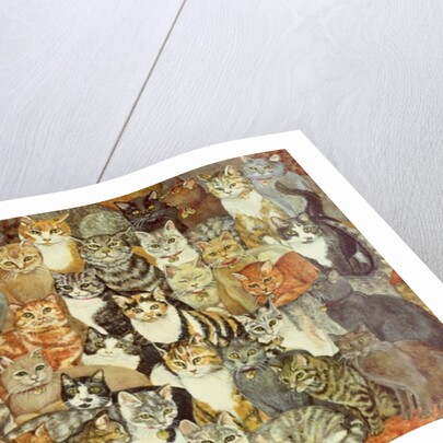 Cat-Spread by Ditz Ditz