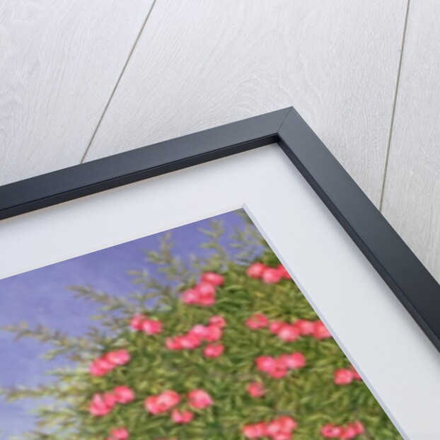 My Family and Other Animals by Ditz Ditz