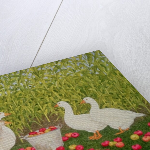 Sweetcorn-Geese by Ditz Ditz