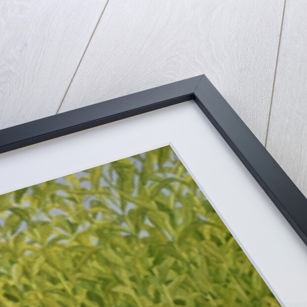 Sweetcorn-Geese by Ditz Ditz