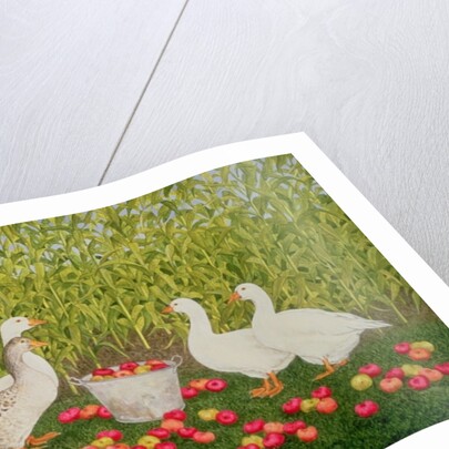 Sweetcorn-Geese by Ditz Ditz