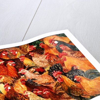 Fine Fowl by Ditz Ditz