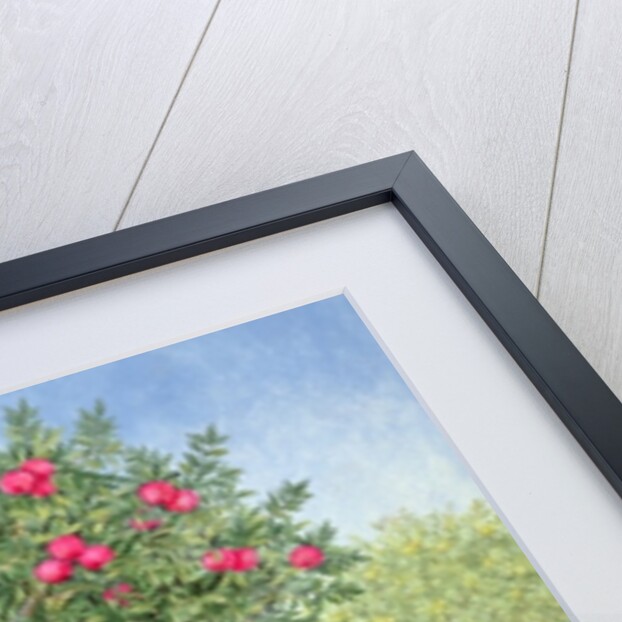 An Apple a Day. Triptych Part One by Ditz Ditz