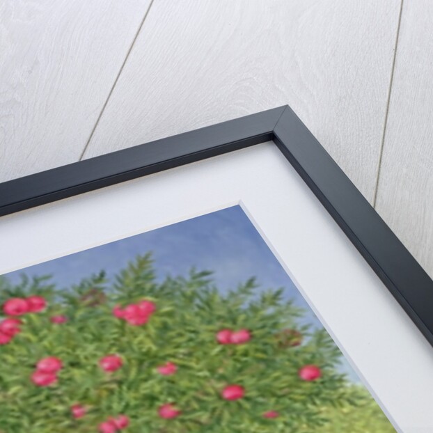 An Apple a Day. Triptych Part Three by Ditz Ditz