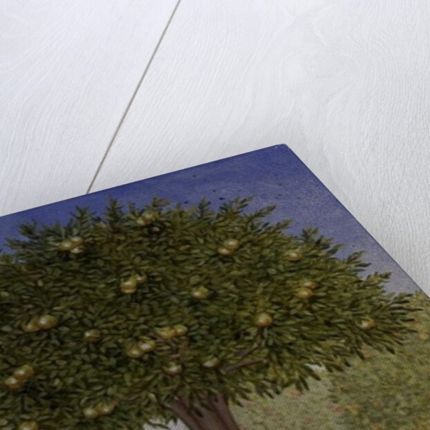 Right Hand Orchard Pig by Ditz Ditz